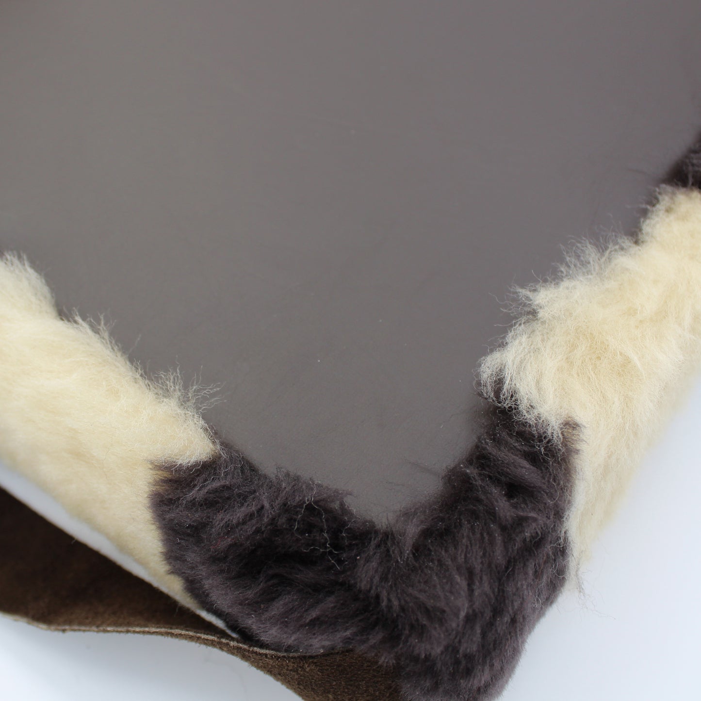 Sport Cushion