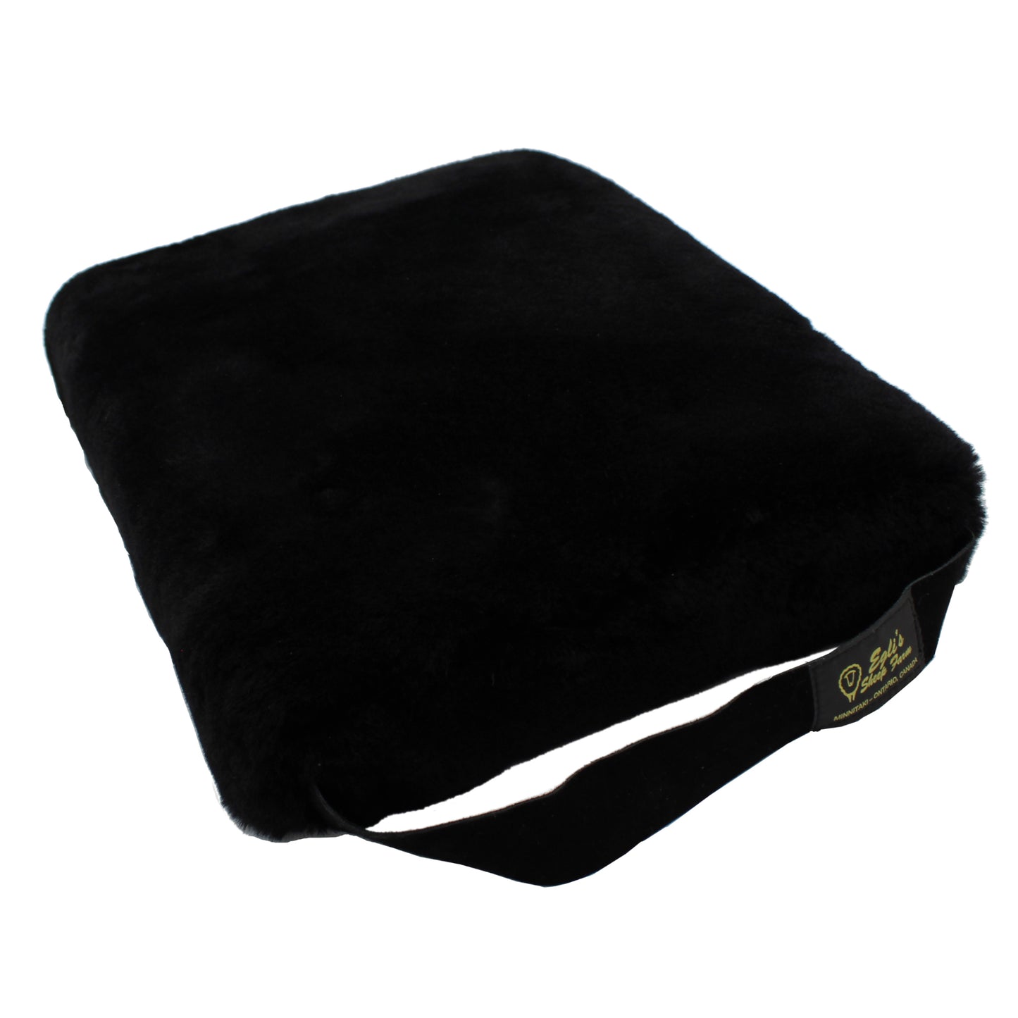Sport Cushion