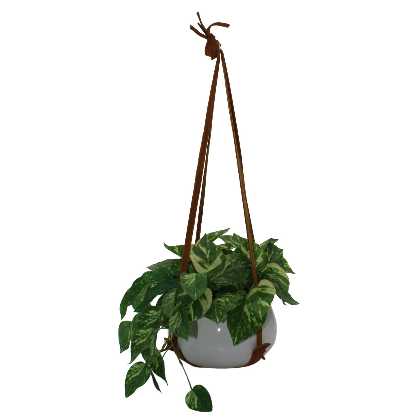 Leather Plant Hanger
