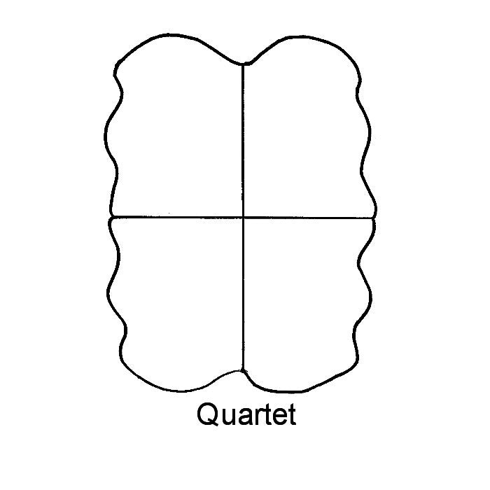 Premium Sheepskin Rug AUS - Quartet