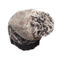 Slouchy Button Hat w. PomPom