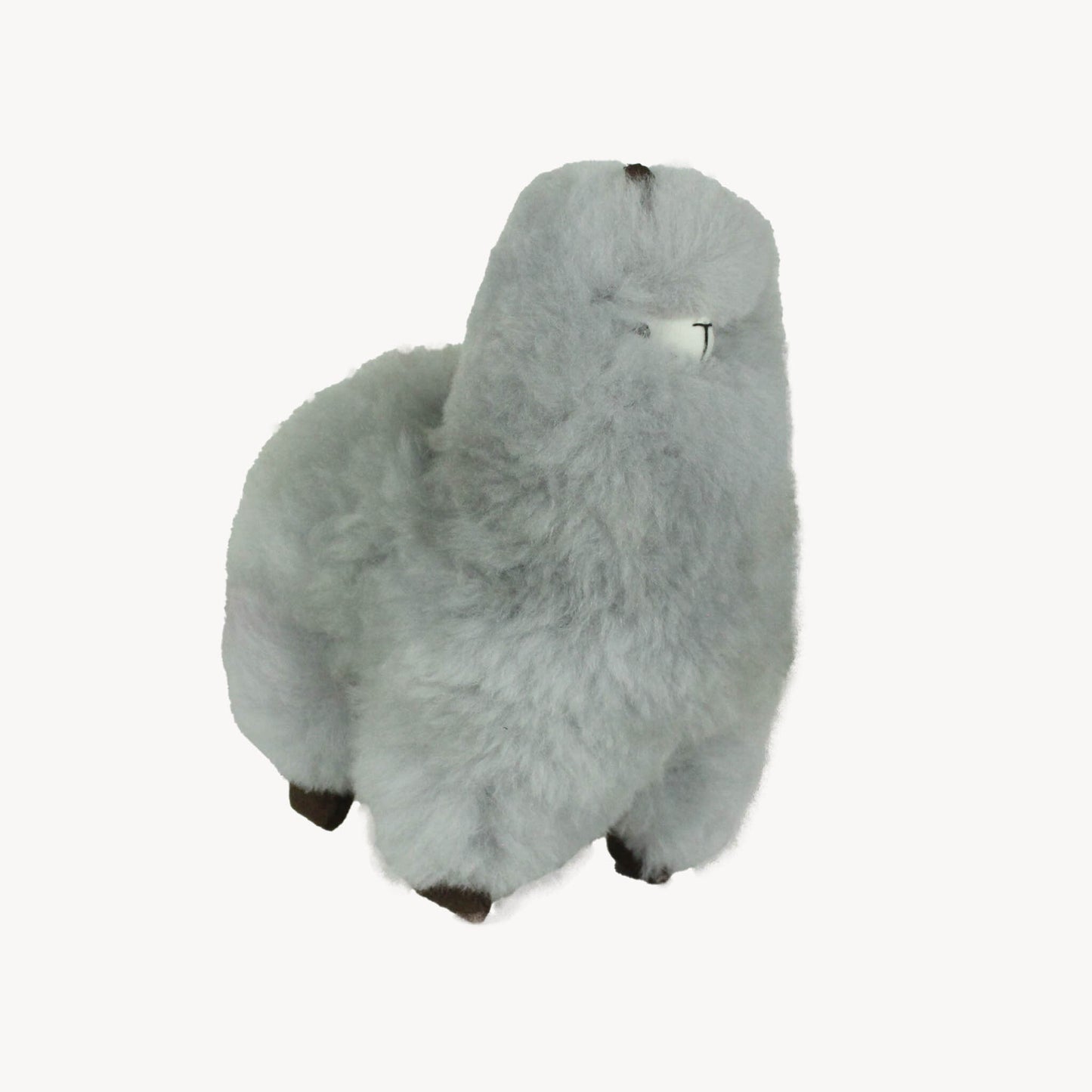 Standing Alpaca