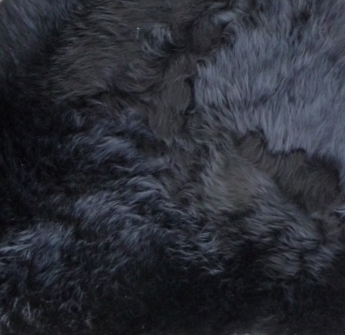 Sheepskin Rug - LW Dble Front Half